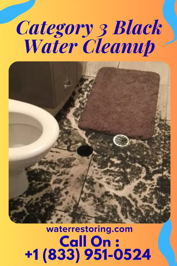 Category 3 Black Water Cleanup in Clinton, TN