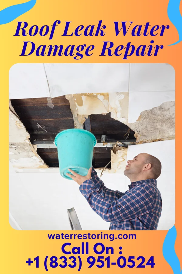 Roof Leak Water Damage Repair in Clinton, TN