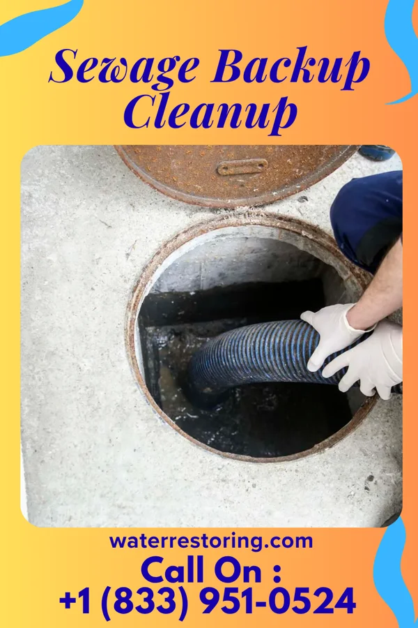 Sewage Backup Cleanup in Clinton, TN
